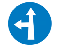 Compulsory direction (front or left)