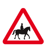 Accompanied horses